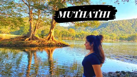 MUTHATHI PICNIC SPOT Places To Visit Near Bangalore Barbeque Monkeys