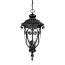 Acclaim Lighting Naples Collection Wall Mount Light Outdoor Matte