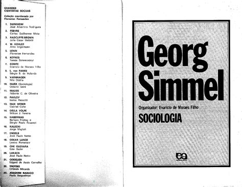 Georg Simmel O Problema Da Sociologia E O Campo Da Sociologia