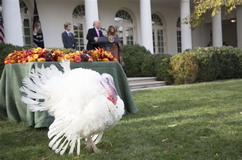 Thanksgiving at the White House, Then and Now – The White House