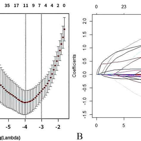 Texture Feature Selection Using The Lasso Binary Logistic Regression