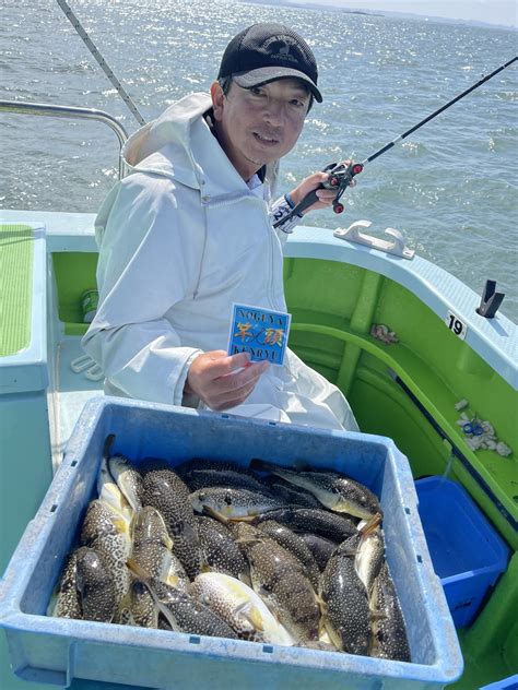 ショウサイフグの釣果｜2023年6月3日｜野毛屋釣船店（神奈川県金沢八景平潟）｜キャスティング釣り船予約