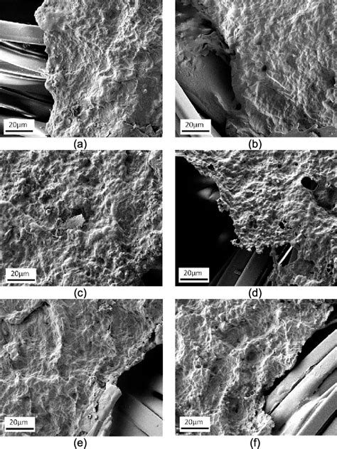 Figure From Study Design And Development Of Biocompatible Graphene