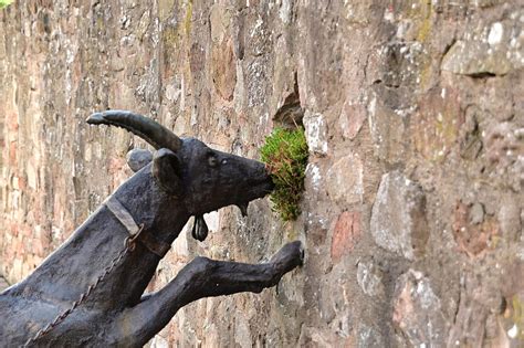 Goat Statue Sculpture - Free photo on Pixabay - Pixabay