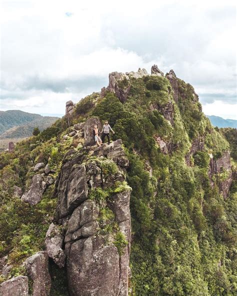 On Top Of The World At The Pinnacles In Coromandel New Zealand This