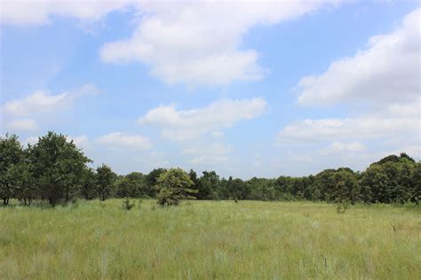 Decaturs Lbj Grasslands Are A Paradise For Nature Lovers