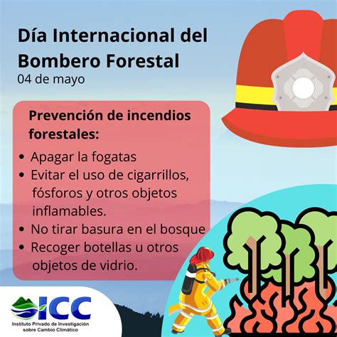 Día Internacional del Bombero Forestal acciones para prevenir y