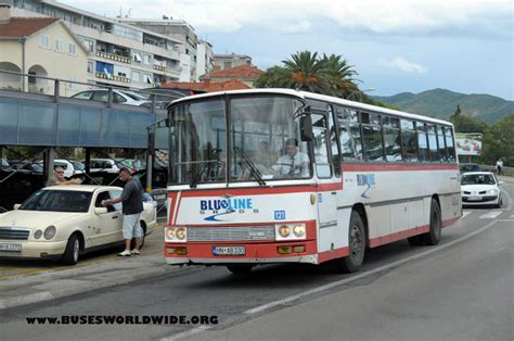 Montenegro Buses Worldwide