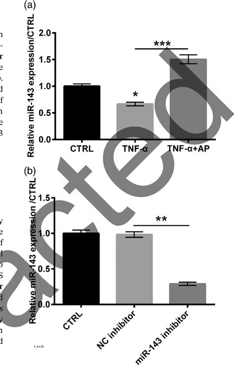 Figure From Angelica Polysaccharide Alleviates Tnf Induced Min