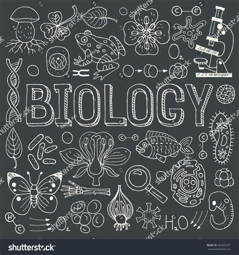 Biology Hand Drawn Colorful Vector Illustration Stock Vector 465922277 Shutterstock