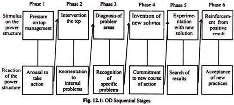 2 The Greiners Sequential Model Download Scientific Diagram