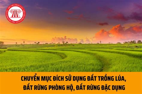 Điều Kiện Chuyển Mục đích Sử Dụng đất Trồng Lúa đất Rừng Phòng Hộ đất Rừng đặc Dụng để Thực