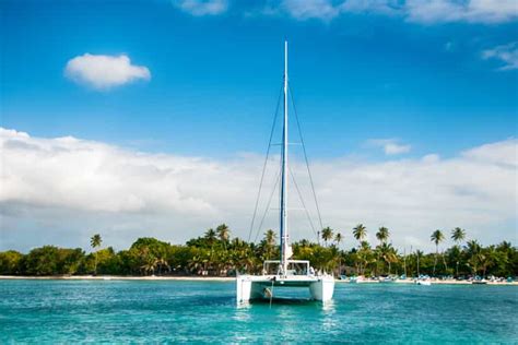 Punta Cana: Catamaran Cruise and Snorkeling | GetYourGuide