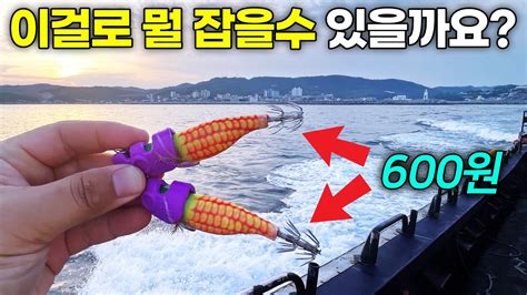 싸구려에기로 엄청 비싼 녀석을 잡아보자 YouTube