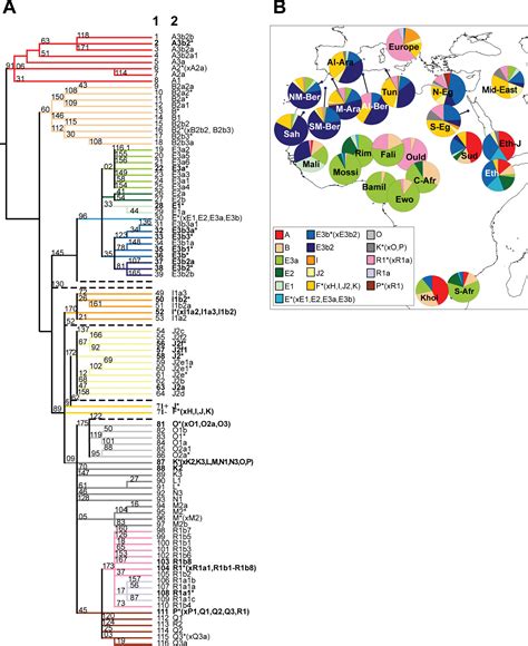 A Predominantly Neolithic Origin For Y Chromosomal DNA Variation In