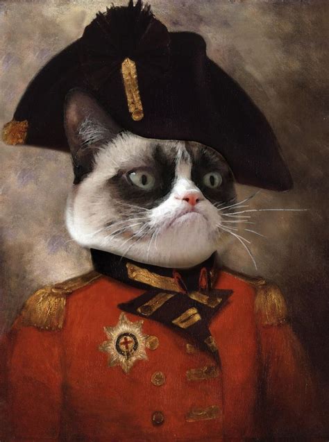 Angry Cat Grumpy General Cat Art Print By Catalin Anastase On