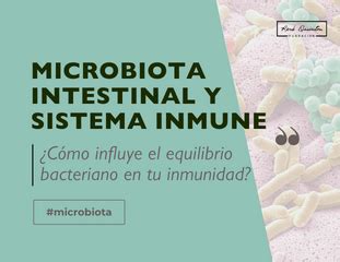 Inmunidad Y Microbiota Todo Lo Que Debes Saber