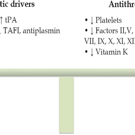 Alterations In Components Of The Coagulation Cascade In Patients With