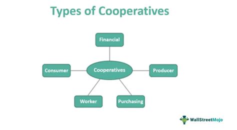 Co-operatives - Meaning, Principles, Types, Examples, Importance