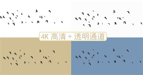 4k高清水墨飞鸟素材（mp4 透明通道） 视频素材下载 编号 25299837 光厂 Vj师网