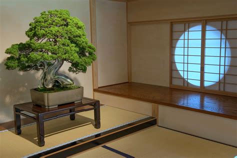 Bonsai â A Marvelous Home DÃcor For Nature Lovers Ferns N Petals