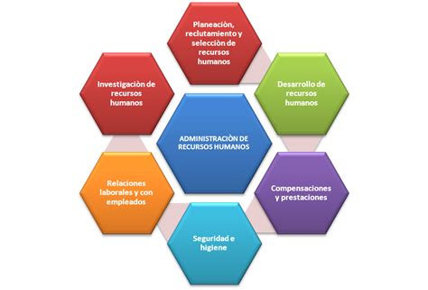 Desarrollo Y Tendencias De La Administración De Recursos Humanos Objetivos Y Funciones De La