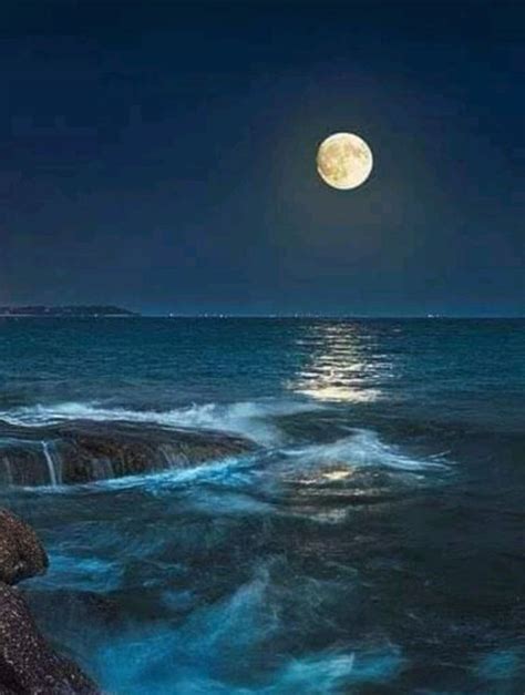 Megumi Bandicoot On Twitter Rt Loveu Nature Beautiful Night Moon