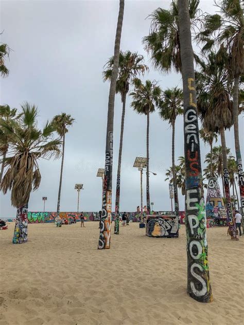 Palm Tree Decorated Or Destroyed With Graffiti At Venice Beach