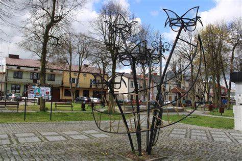 Park w Radoszycach doczeka się rewitalizacji Pojawi się tu pierwsza