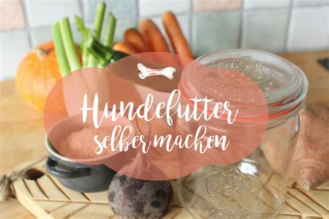 Hundefutter Selber Machen Und Einkochen Hundebloghaus