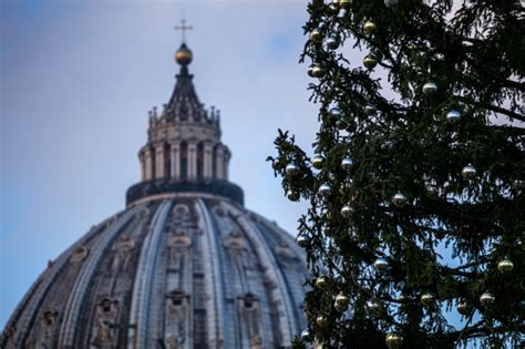 Choinka i szopka stanęły na placu św Piotra w Rzymie Trwają