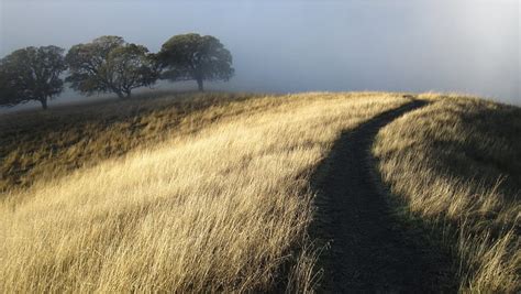 Camino De Campo Vac O Fondo De Pantalla Hd Peakpx