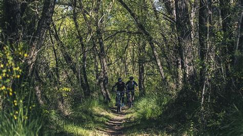 Un Paseo Para Los Sentidos A Dos Ruedas Para Descubrir La Magia De La