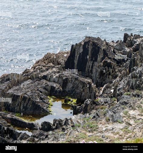 Exposed Rocks On The Seashore Seaside Rocks In Sunny Weather Rock