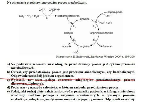 Na schemacie przedstawiony został pewien proces metaboliczny Brainly pl