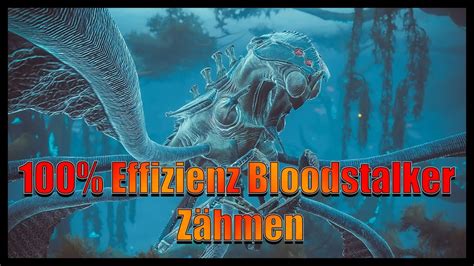 100 Effizienz Bloodstalker Zähmen Ark Survival Evolved YouTube