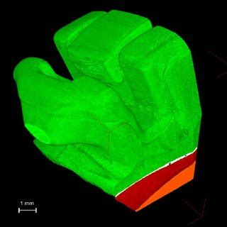 3D micro-CT reconstruction of the adhesive layer | Download Scientific ...