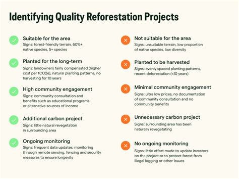 Four Key Characteristics of Quality Reforestation Projects | Pachama