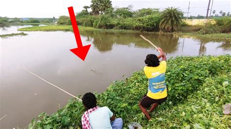 Village Fishing Natural Fish Catching In Village Fish Hunting