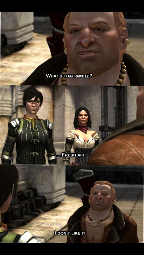 Dragon Age Memes Dragon Age Funny Dragon Age 2 Dragon Age