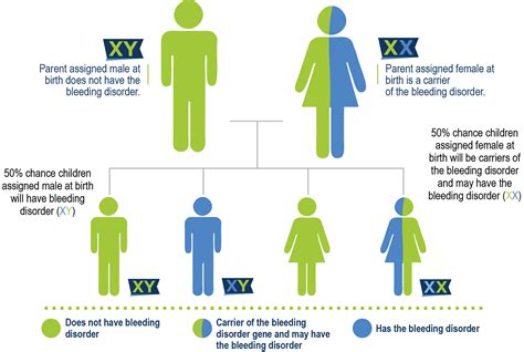 Hemophilia B - Hemophilia Federation of America