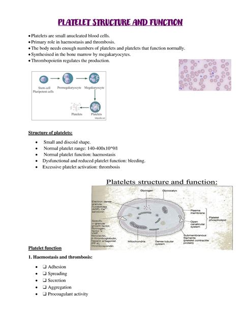 Platelet structure and function - PLATELET STRUCTURE AND FUNCTION ...