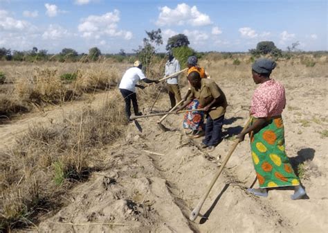 Update On Project To Boost Crop Production And Strengthen Communities In Malawi Halcrow Foundation