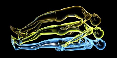 Understanding Rebirth Vs Reincarnation In Theravada Buddhism Maithri