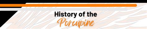 School Song/History of the Porcupine | Springtown ISD