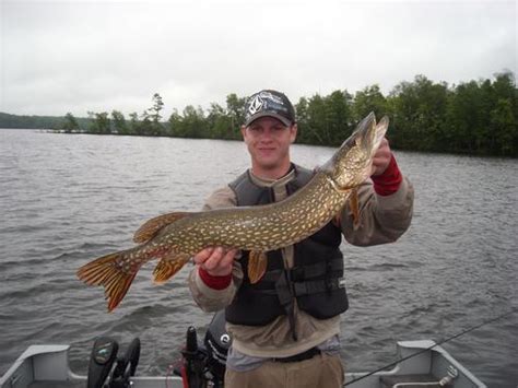 Fish Sissabagama Lake Sawyer County Wisconsin