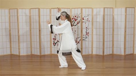 Shibashi Set 2 Postures 13 15 Rising Moon Tai Chi