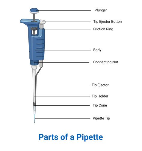 Pipette- Principle, Parts, Types, Procedure, Uses, Examples, 60% OFF