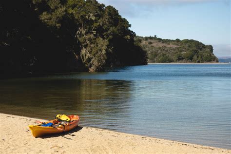 Your Guide To Tomales Bay State Park