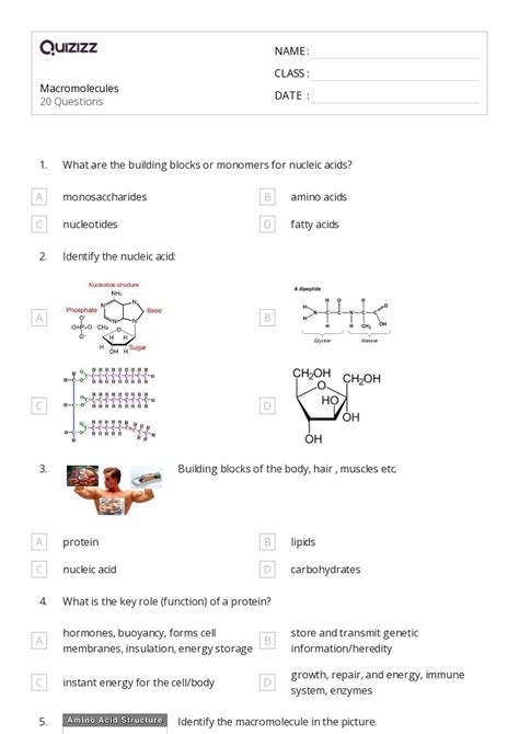 50 Macromolecules Worksheets For 12th Class On Quizizz Free Printable